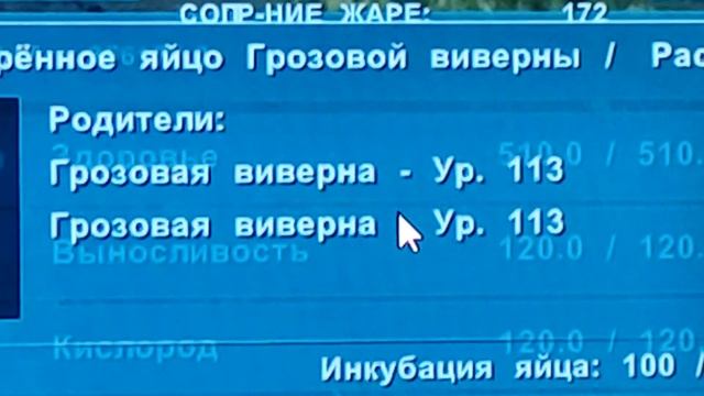Воруем яйцо Виверны на Lost Island(Nvidia Shield) смотреть онлайн