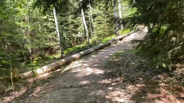 Vlog / Kudowa Zdrój / Błedne Skały / Польские горы / Выходные в Польше смотреть онлайн