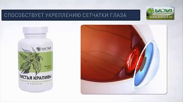 Листья Крапивы. смотреть онлайн