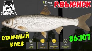 ЛЮТЫЙ ФАРМ ДЛЯ НОВИЧКОВ НА ЕЛЬЦЕ НА ВЬЮНКЕ В РУССКОЙ РЫБАЛКЕ 4 РР4