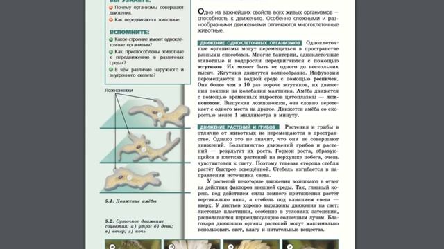 Биология (Л.Н.Сухорукова) 5-6к §35 Движение живых организмов смотреть онлайн
