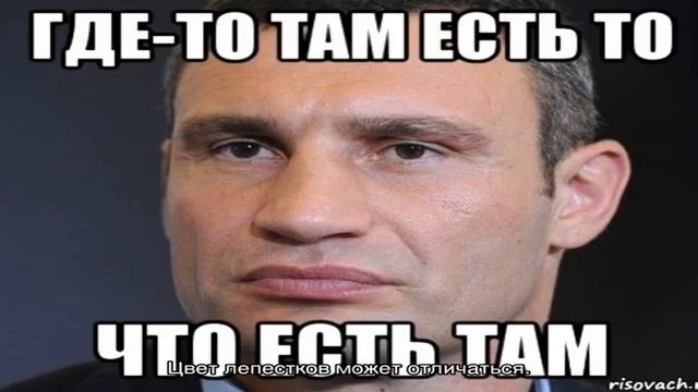 Имбирь — выращивание в открытом грунте из корня на даче и в горшке в домашних условиях: посадка, у. смотреть онлайн