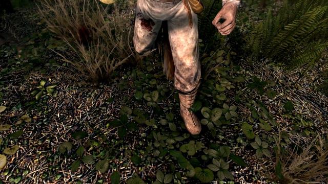 The History of Hammerfell - Elder Scrolls Lore смотреть онлайн