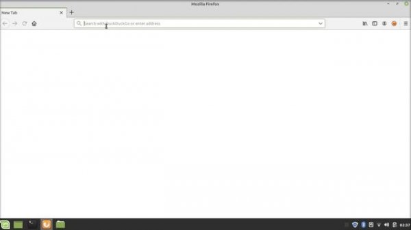 installation apache2 on linux mint.