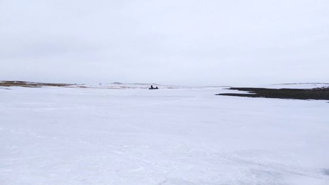 Егор зажигает по плотному снегу на мотособаке Снежок Д 9лс