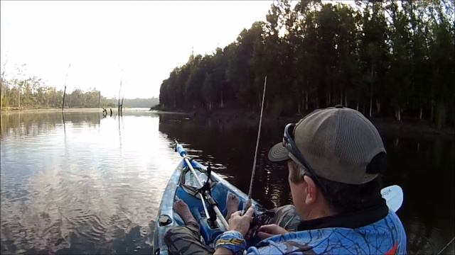 Bagleys Rattlin' Finger Mullet Barra смотреть онлайн