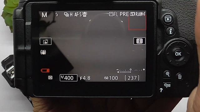 Nikon D5600 Screen Flickering during video SOLVED смотреть онлайн