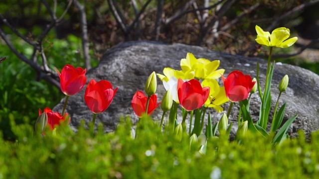Аффирмации на Мир и Покой внутри // восстановление нервной системы // как быстро успокоиться