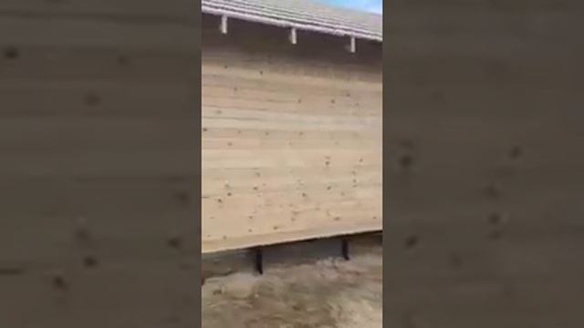 Отзыв о строительстве одноэтажного дома в Московской области смотреть онлайн