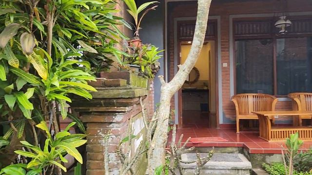 "Короче, друзюлечки".Зоопарк в Убуде смотреть онлайн