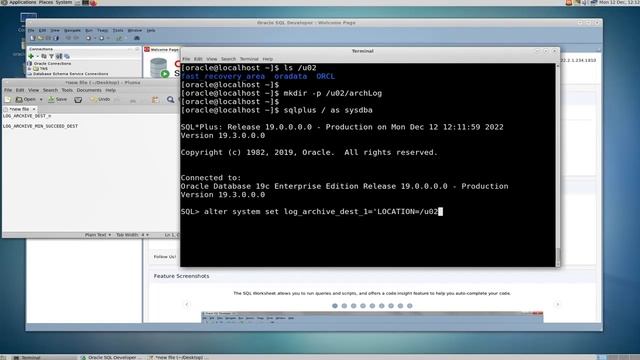 Oracle Database how to change archive log directory смотреть онлайн