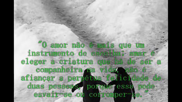Frases de Machado de Assis смотреть онлайн