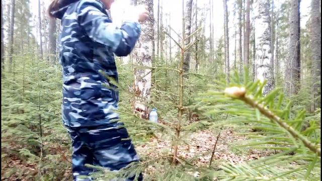 ЗА БЕРЕЗОВЫМ СОКОМ В ЛЕС смотреть онлайн