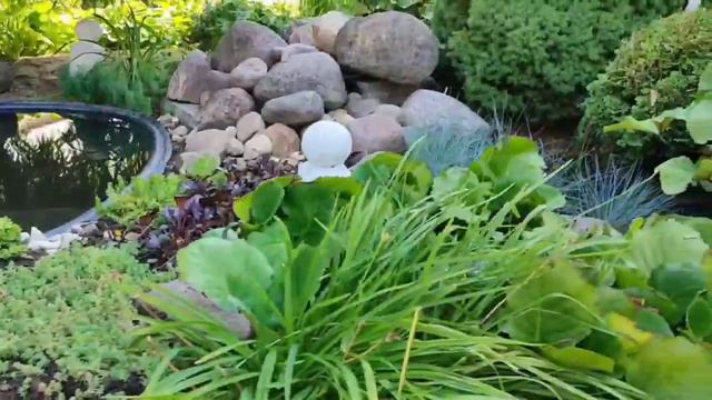 Formula sada смотреть онлайн