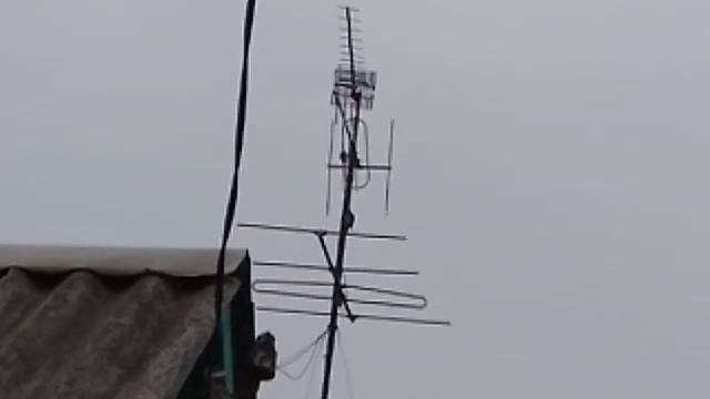 Игра дятла на трубе! смотреть онлайн