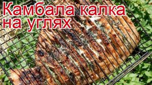 Рецепты из Камбалы Калкан - как приготовить камбалу пошаговый рецепт - Камбала калка на углях