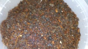 ❤?Проверка семян 2014 года на всхожесть Морковь в домашних условиях