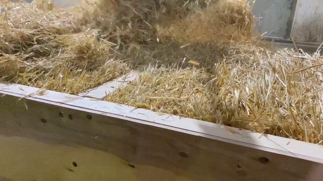 Стрижка соломенной панели смотреть онлайн