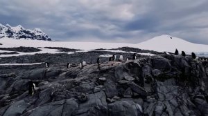 Адская боль: Вырвал руку посреди океана в Антарктиде / Что со мной произошло на самом деле? / Лядов