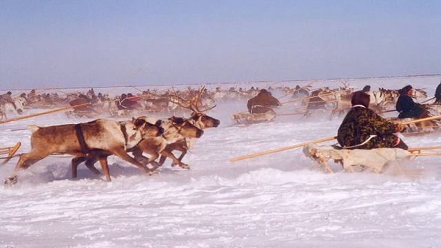 gonki смотреть онлайн