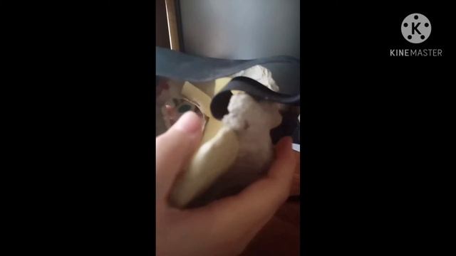 обзор на скулл догов и скулл кэтов папье-маше смотреть онлайн