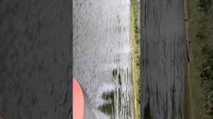 Хатанга 390 Jet Lux SUZUKI DF 9.9 BS ВОДОМЕТ