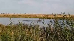 Лодочный мотор стрела 5