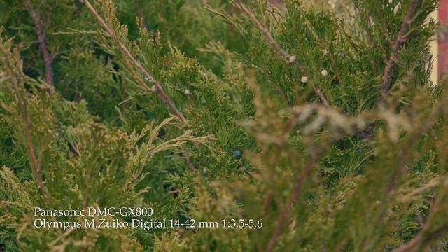 4k video footage Panasonic DMC-GX800 + Olympus M.Zuiko Digital 14-42mm 1:3,5-5,6 смотреть онлайн