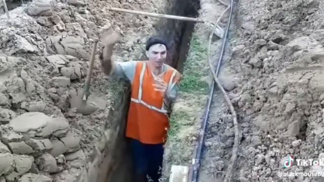 Ядовитая змея, чуть не укусила. смотреть онлайн