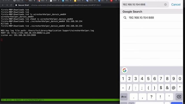 Capture all Mobile TCP&UDP and decrypt TLS to your Desktop Wireshark (v20210601) смотреть онлайн