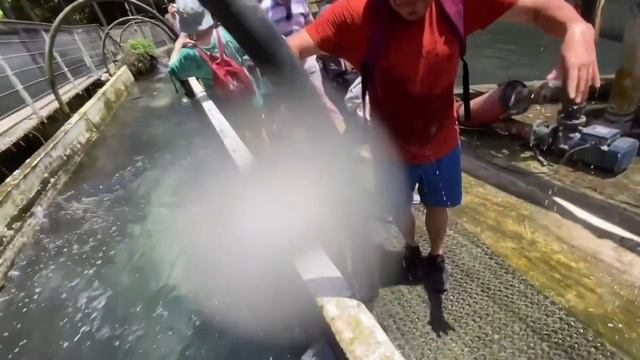 ОСЕТРОВАЯ ФЕРМА В ИЗРАИЛЕ смотреть онлайн