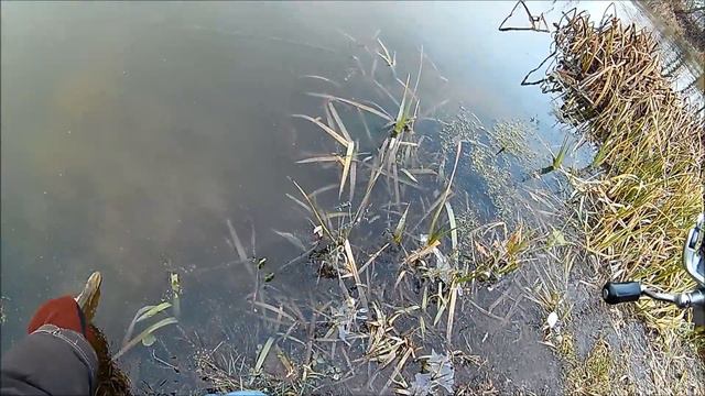 Микроджиг в декабре. Ловля окуня на реке. смотреть онлайн