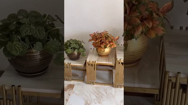 СЕГОДНЯ ПРИЕХАЛ МОЙ СЫН ? И ПОСТРОИЛ МНЕ НАВЕС ?