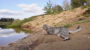 ДУХ АКА МАНТО В РЕАЛЬНОЙ ЖИЗНИ | 24 ЧАСА НА ЗАКОЛДОВАННОМ ОЗЕРЕ С КОТАМИ В ПАЛАТКЕ