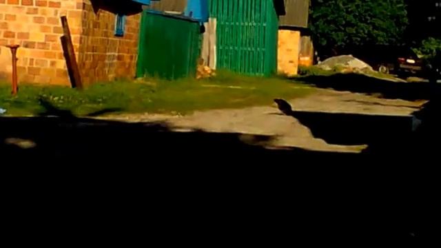 трюк на велосипеде.mp4 смотреть онлайн