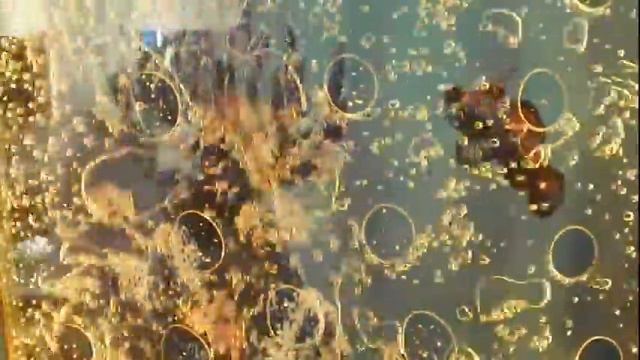 пузырьки на выставке "МосБилд-2013" (bubbles at the exhibition MosBuild-2013). смотреть онлайн