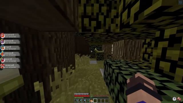 CHALLENGE A WARPY!!! | 13 | PIXELMON DARK FIESTA смотреть онлайн