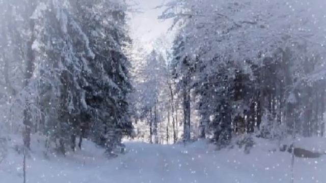 Зимний сон (Игорь Виданов).avi смотреть онлайн