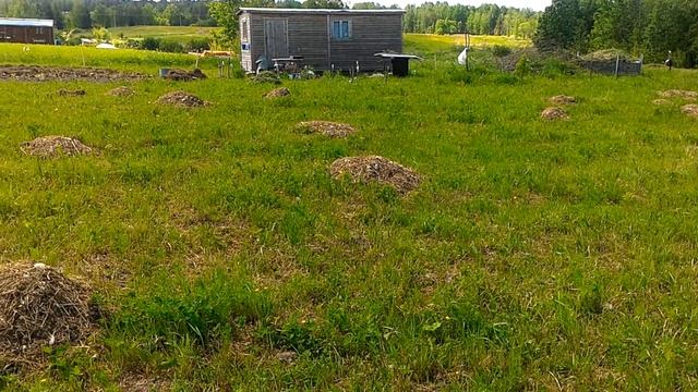 наши выходные смотреть онлайн