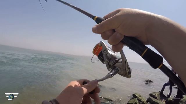 Как рыбачат и что едят в Китае? Ловля морского окуня во время отлива. Favorite World Fishing. смотреть онлайн