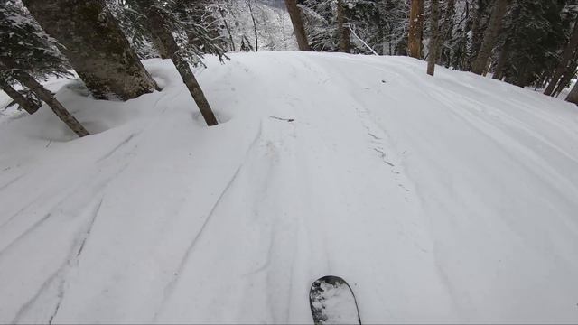 Красная поляна. февраль 2024