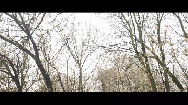 Осень, ручей, утки. Учусь записывать залипательные ролики. смотреть онлайн