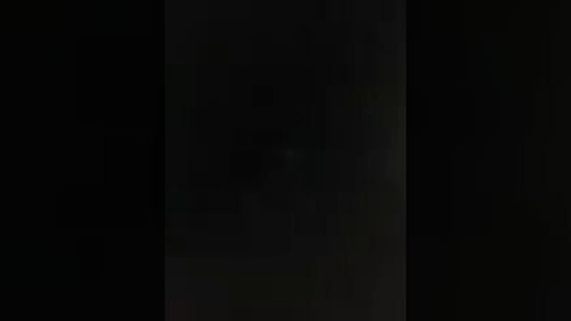 СОБАКА ПОРОДЫ ТАКСА ИГРАЕТ  С ИГРУШКАМИ И ЗАЩИЩАЕТ ДОМ !! САМОЕ ИНТЕРЕСНОЕ ВИДЕО ПРО ТАКСУ! !!!