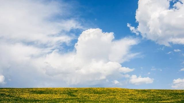 Истории из жизни Аудио рассказ Берегите первых жен Деревенская история любви. #15 смотреть онлайн