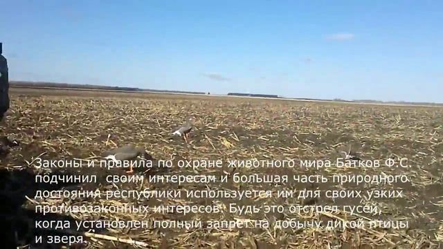Законы и правила по охране животного мира Батков Ф.С. подчинил своим интересам смотреть онлайн