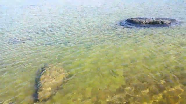 Подводная охота на кефаль смотреть онлайн