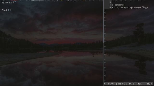 The command-line GNU sed // Part 02 - Commands [Learn by Practicing] смотреть онлайн