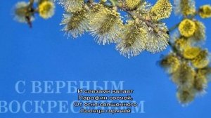 Красивые стихи на Вербное воскресенье. Как поздравить в стихах с Вербным воскресеньем. Короткие по.
