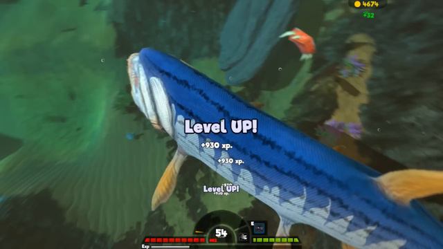 NEW FISH CAN EAT EVERYTHING WHOLE!!! - Fish Feed Grow смотреть онлайн