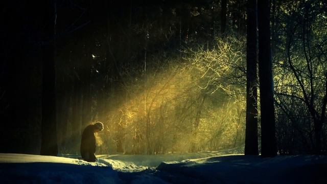 Это и есть Любовь. • Прекрасные слова Ибн аль Каййима аль Джаузи (да помилует его Аллах) смотреть онлайн